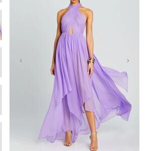 Retrofete Ina Silk Chiffon Maxi Dress Wisteria NWT Medium Wedding Guest Gala